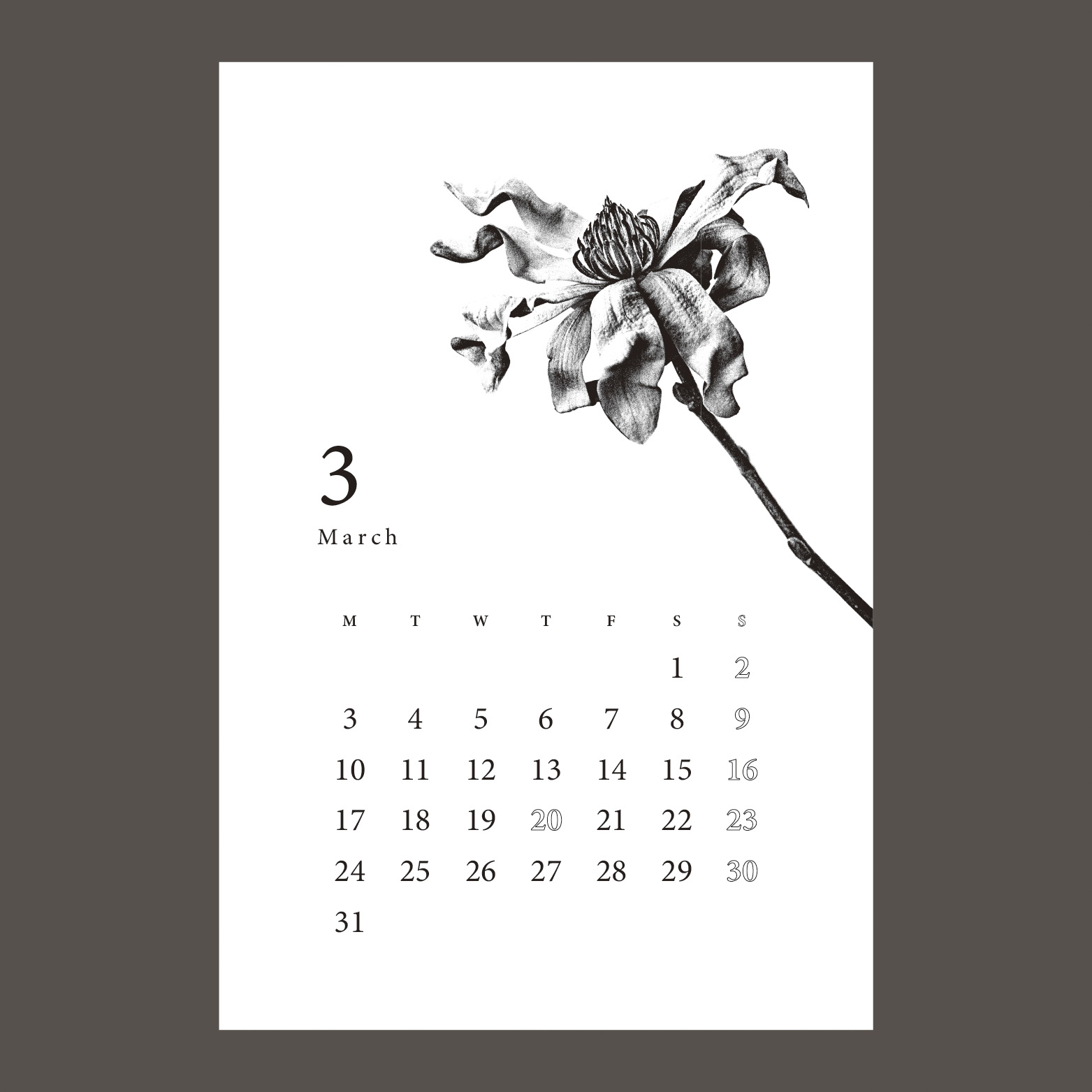Botanical Calendar - Plate 4