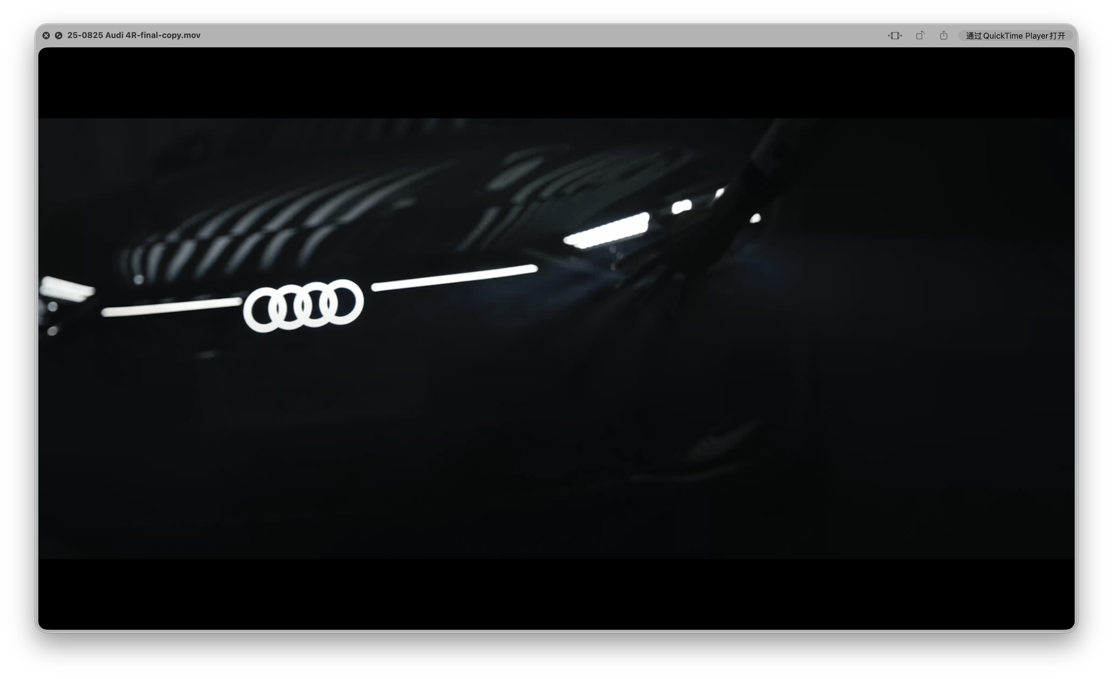 AUDI - Plate 2