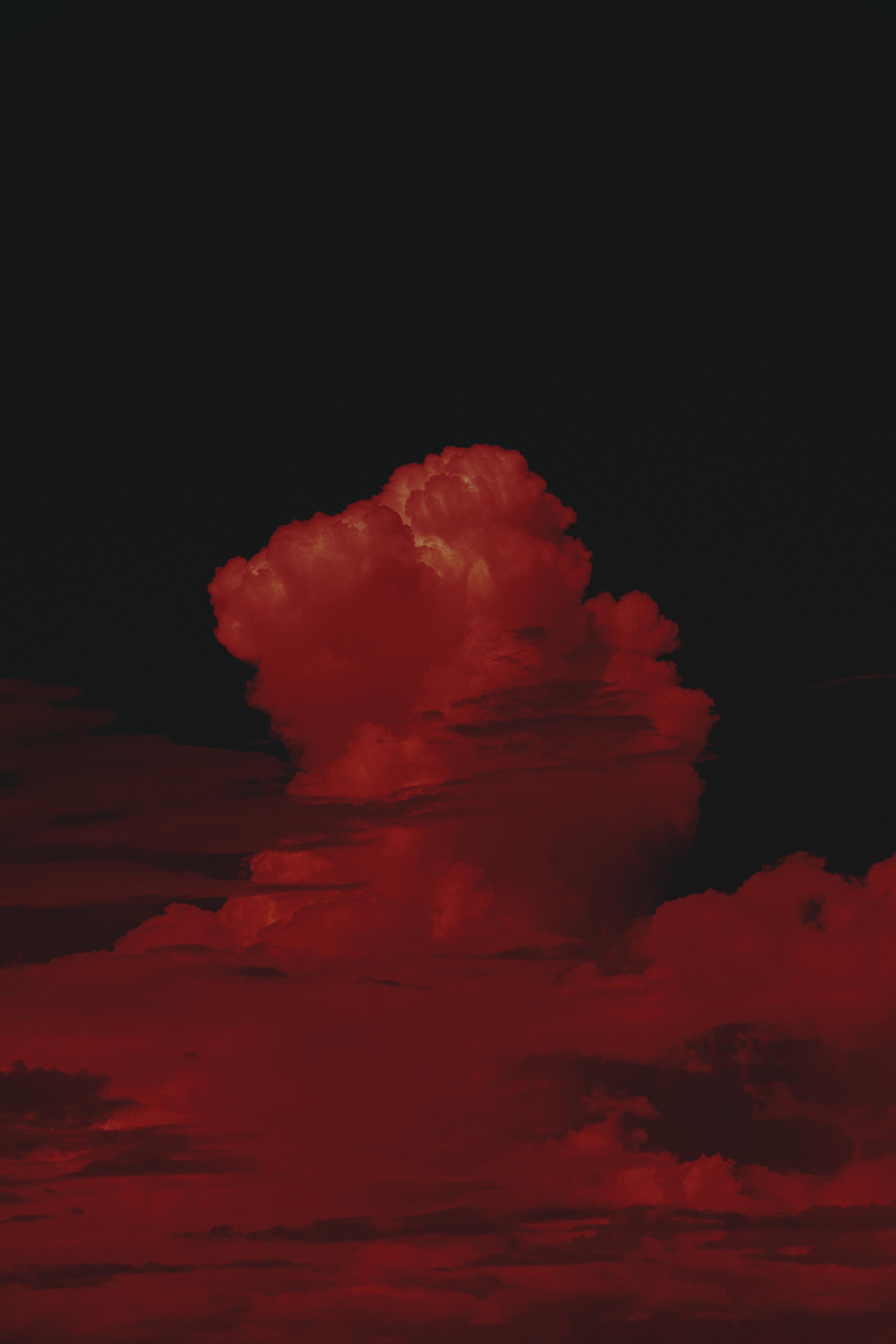 Kinoko no Kumo - 2 - Plate 2