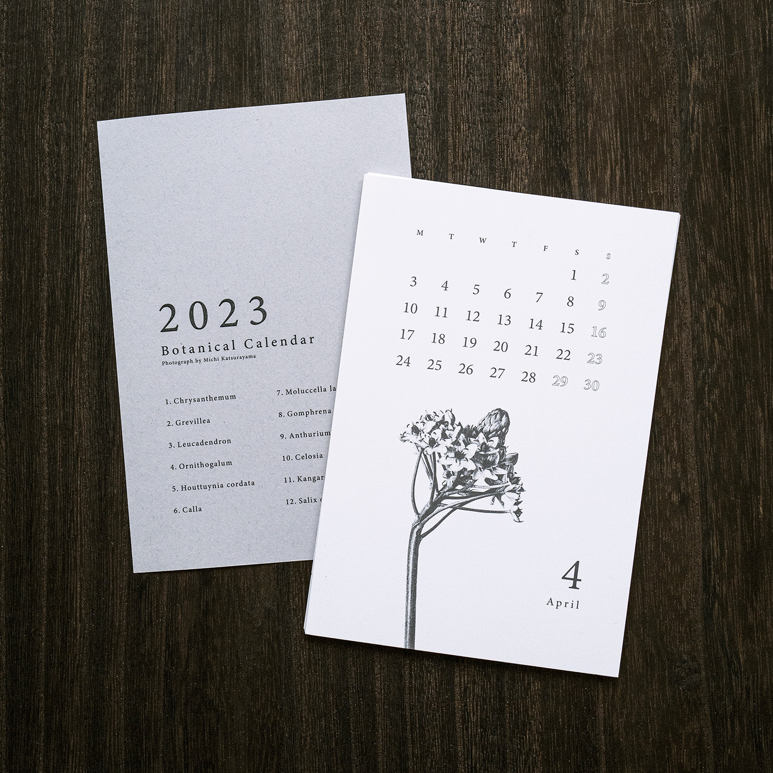 Botanical Calendar - Plate 8