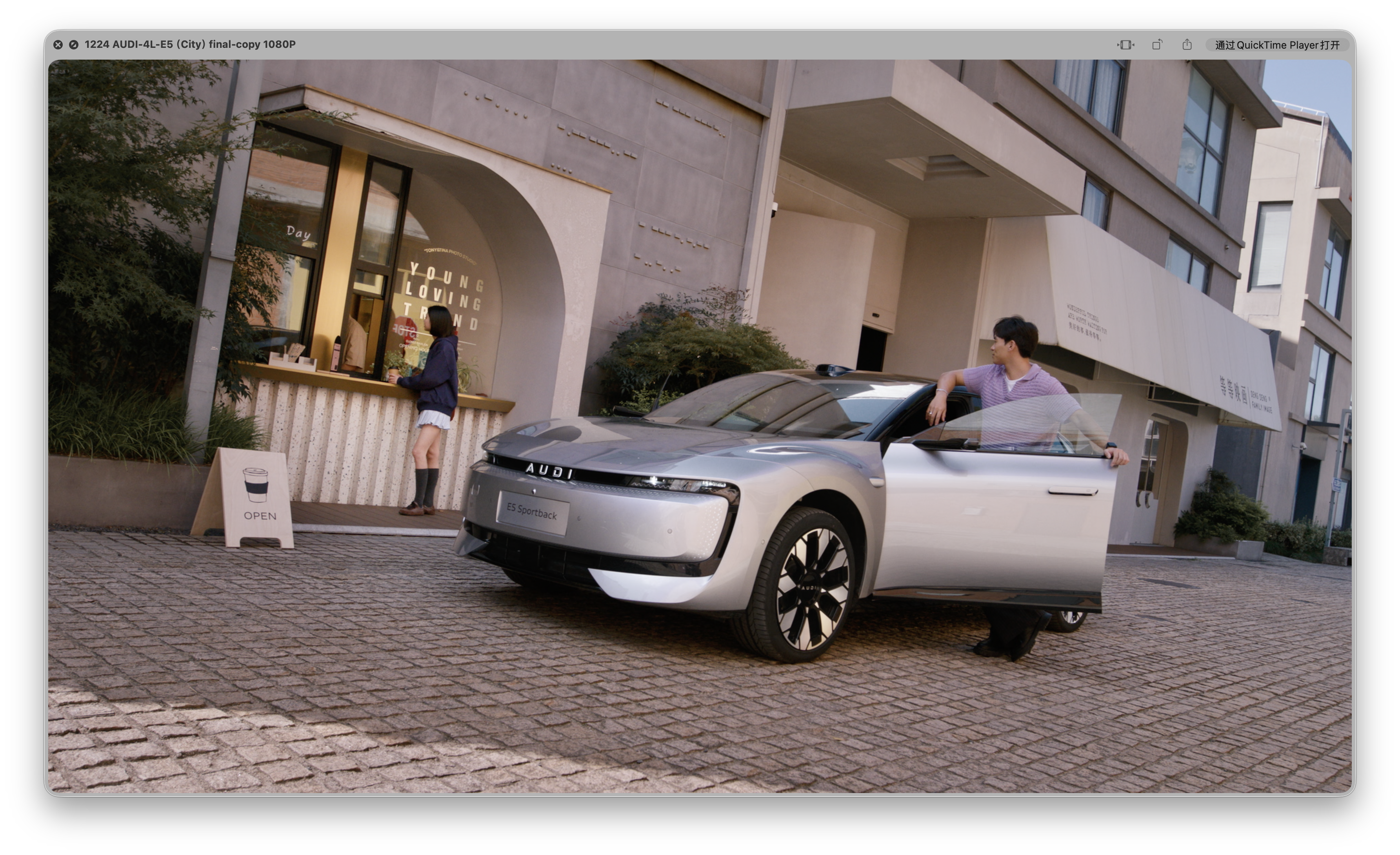 AUDI - Plate 6