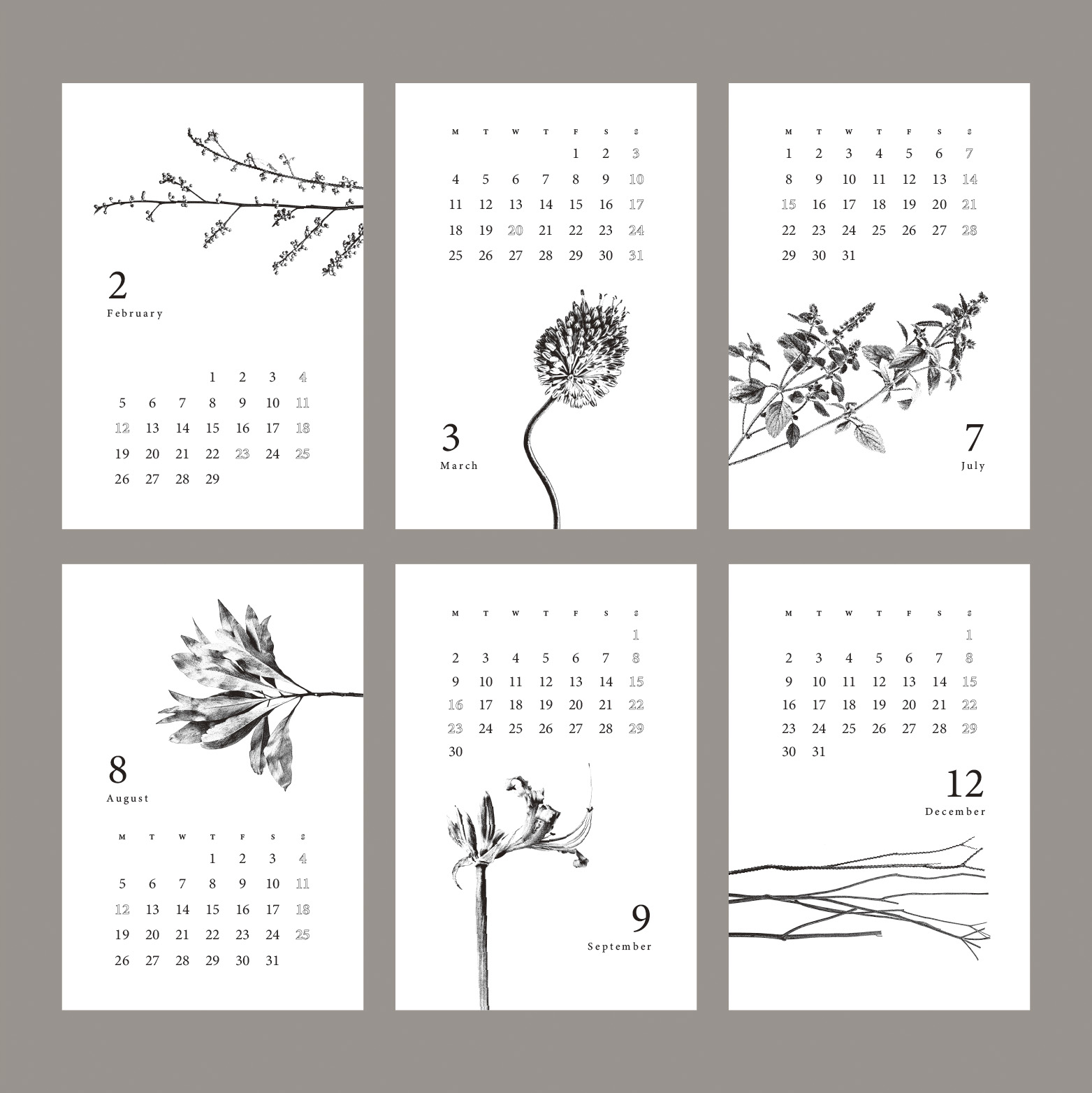 Botanical Calendar - Plate 5