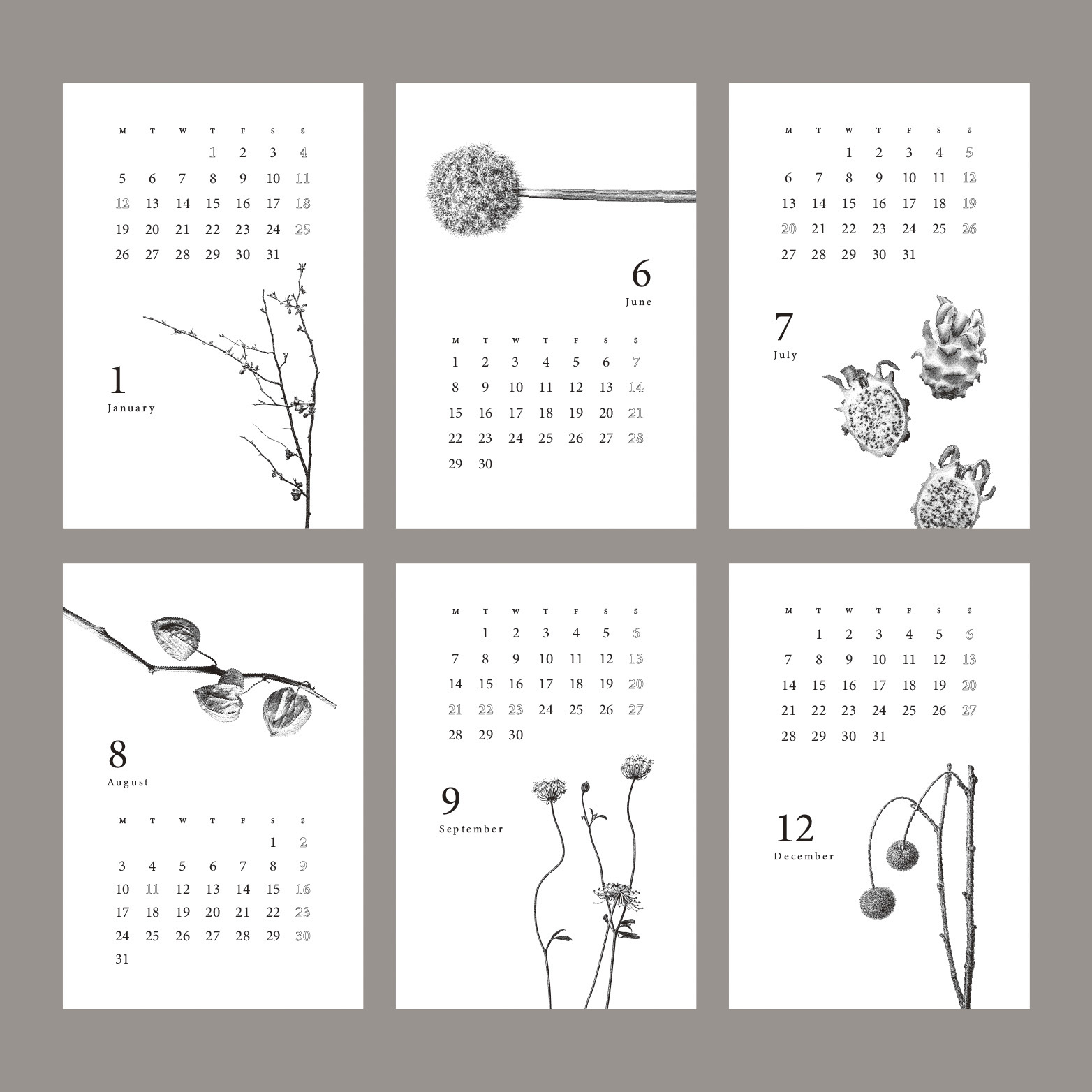 Botanical Calendar - Plate 3