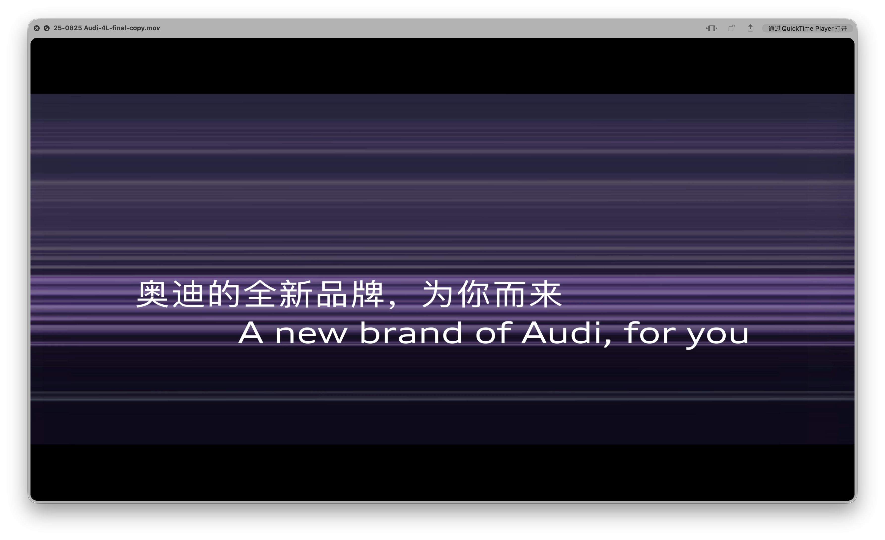 AUDI - Plate 1