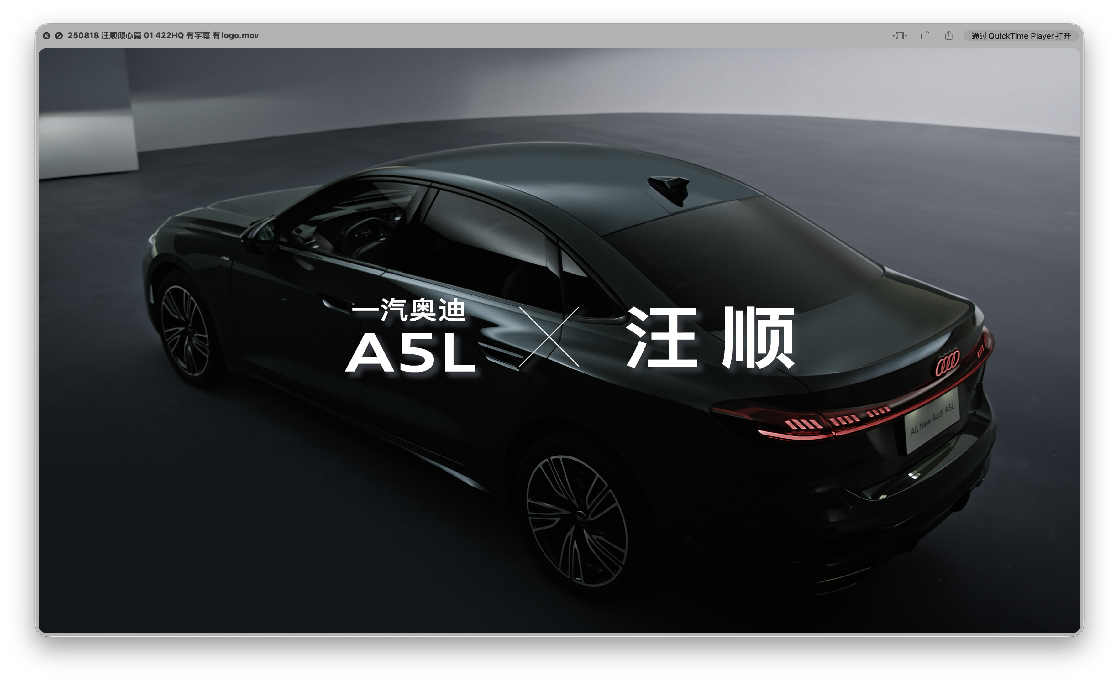 AUDI - Plate 3