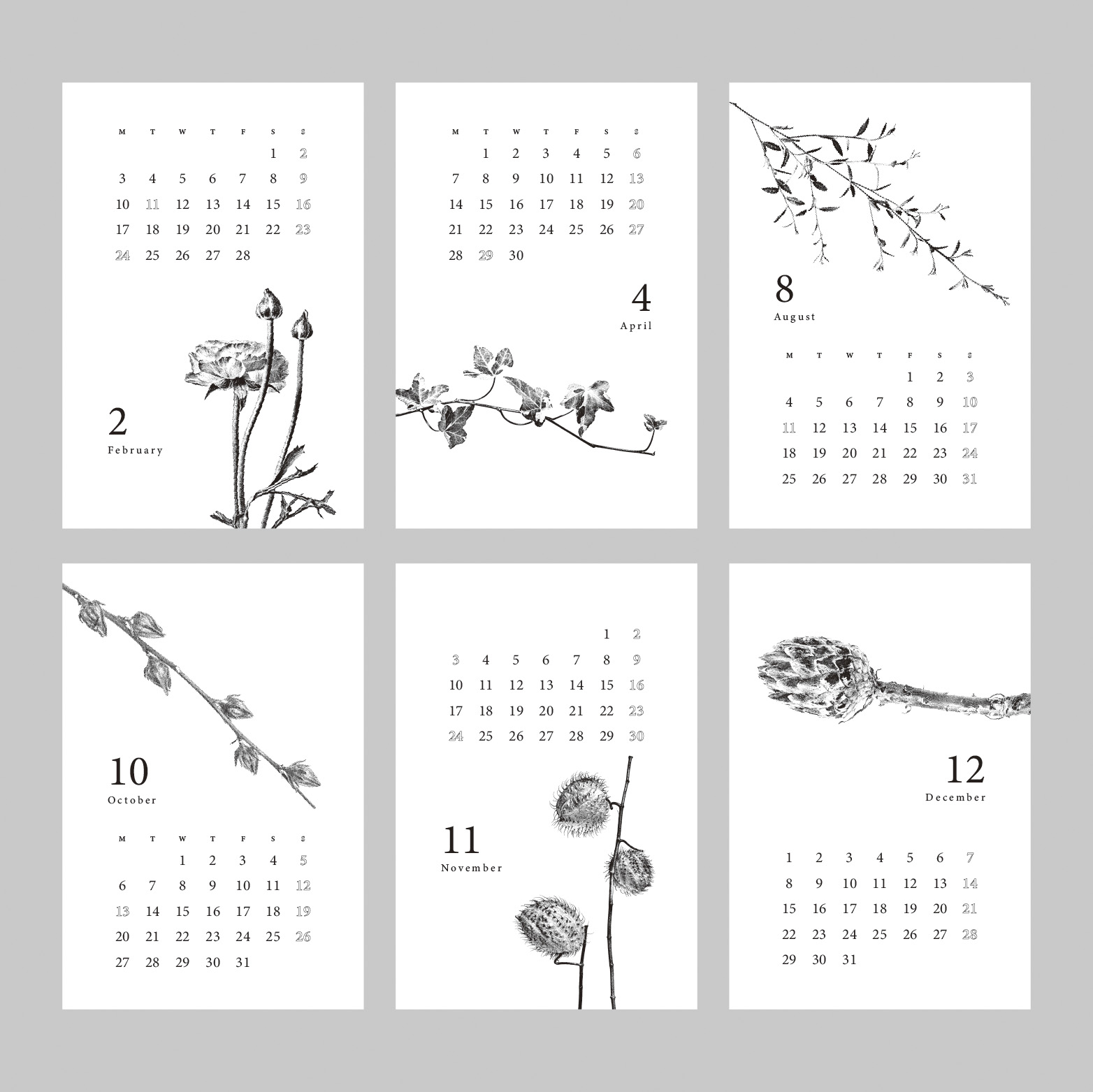 Botanical Calendar - Plate 7